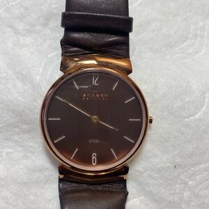 Skagen Analog Brown Dial Men's Watch-695XLRLD